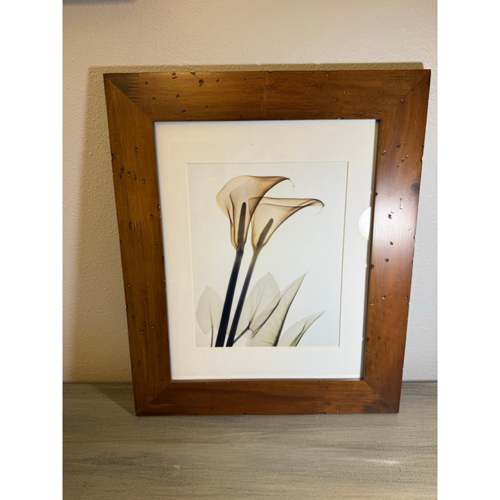 Framed Calla Lily art print approx. 15x18”